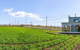 ココリト大根島