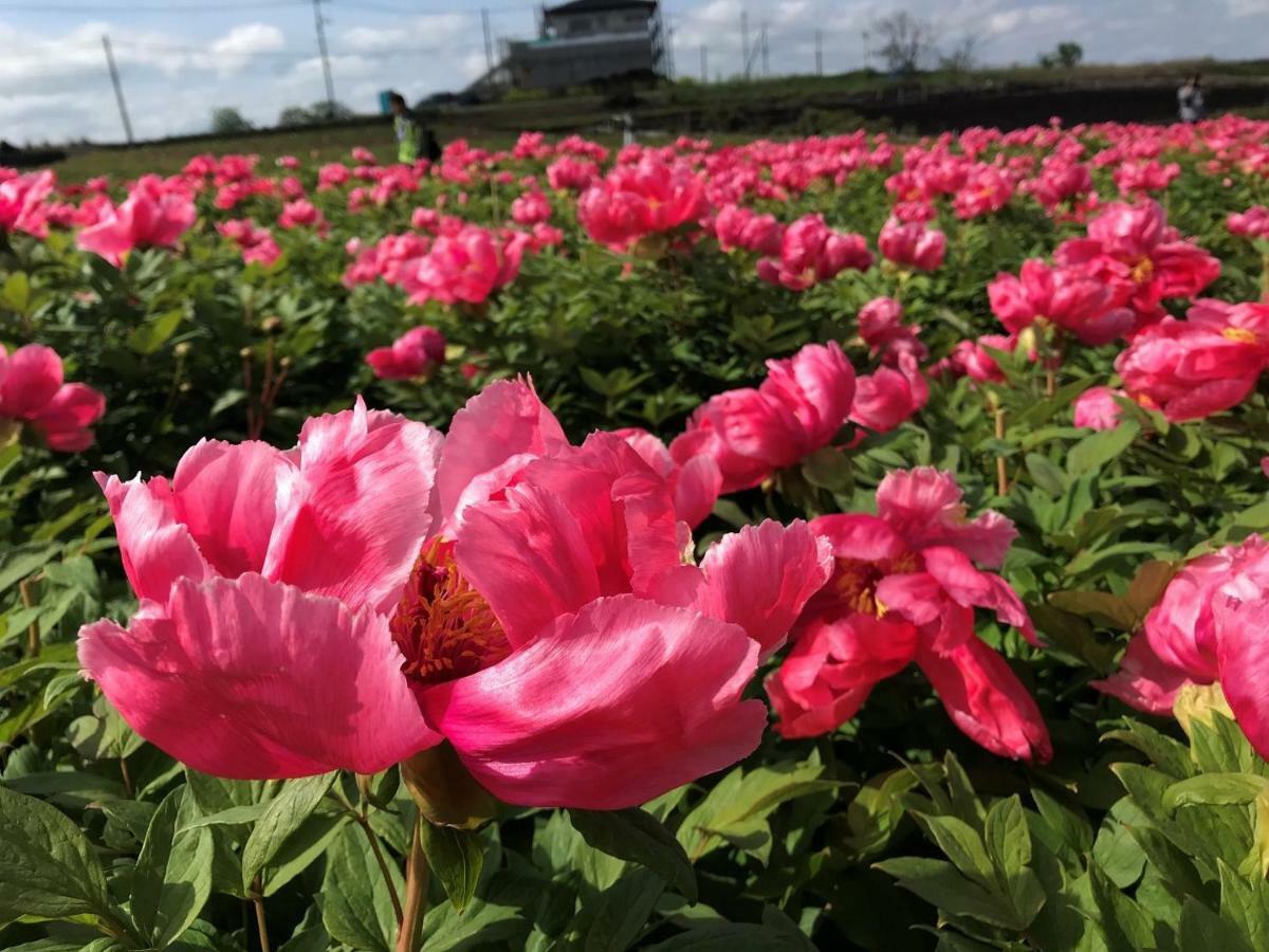松江市 ココリト大根島ヴィラ エクステリア 写真